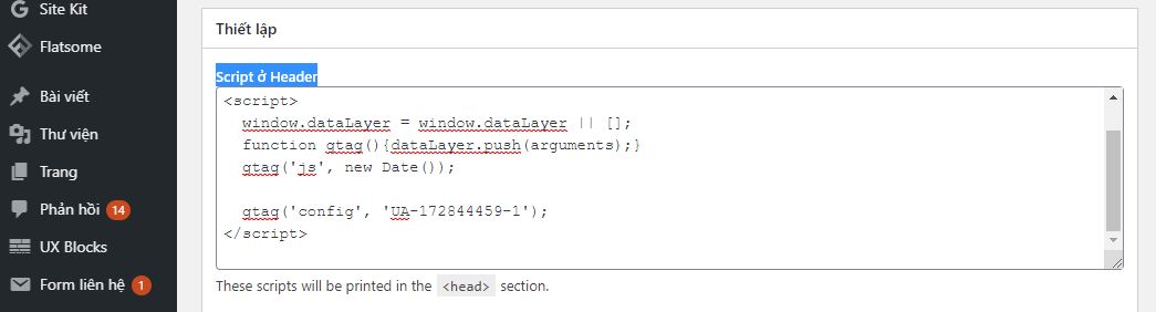 dán code Google Analytics vào
