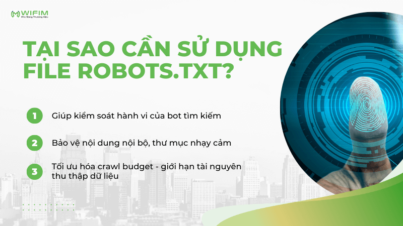 Tại sao cần sử dụng file robots.txt?