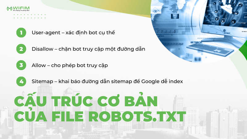 Cấu trúc cơ bản của file robots.txt
