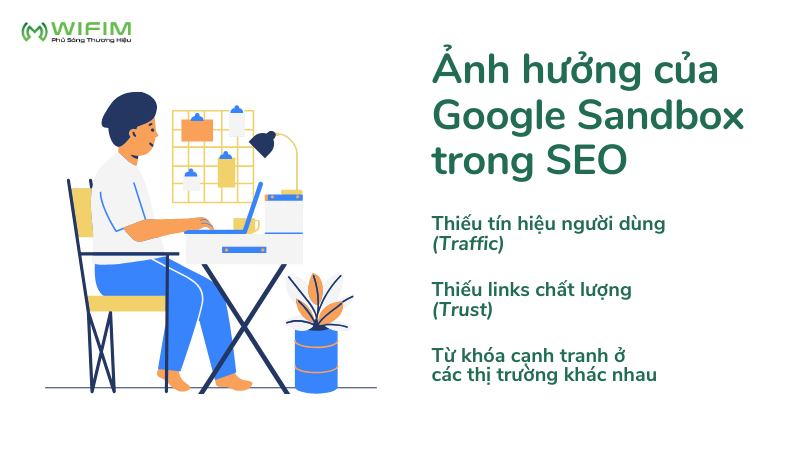 Ảnh hưởng của Google Sandbox trong SEO Ảnh hưởng của Google Sandbox trong SEO