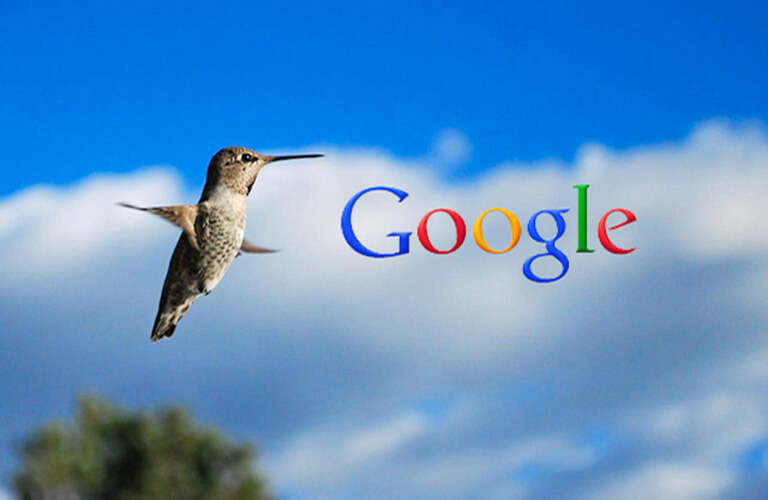 Phương pháp tìm kiếm trên Google với thuật toán HummingBird là gì?