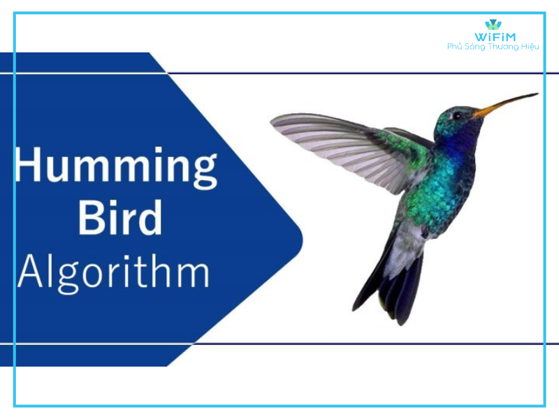 Giới thiệu phương pháp tìm kiếm hummingbird của Google