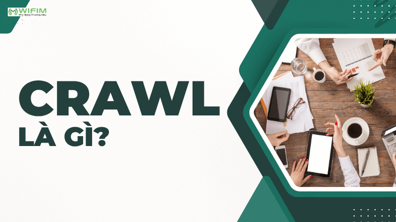 Crawl là gì?
