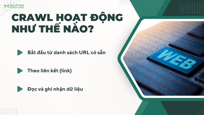 Crawl hoạt động như thế nào?