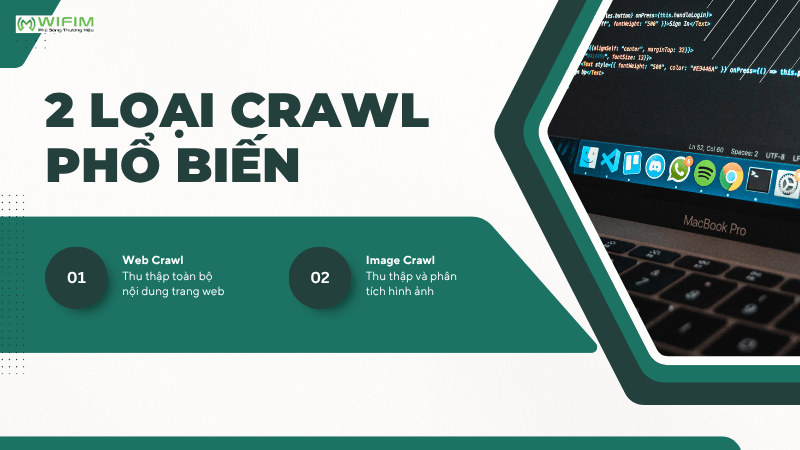 2 loại Crawl phổ biến