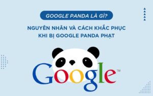 Khám phá thuật toán Google Panda