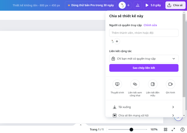 Giao diện tùy chỉnh chia sẻ truy cập trong Canva Giao diện tùy chỉnh chia sẻ truy cập trong Canva