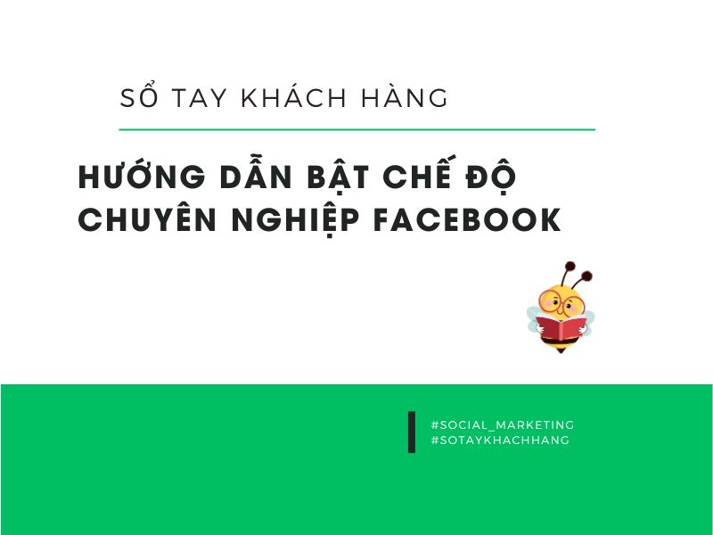 Huong-dan-bat-che-do-chuyen-nghiep-facebook