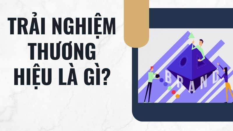 Trải nghiệm thương hiệu là gì? Trải nghiệm thương hiệu là gì?