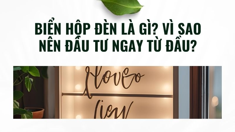Biển hộp đèn là gì? Vì sao nên đầu tư ngay từ đầu? Biển hộp đèn là gì? Vì sao nên đầu tư ngay từ đầu?