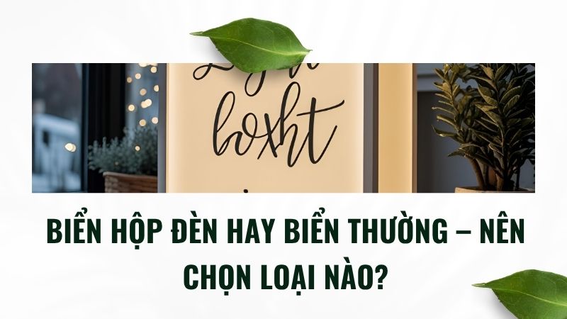 Biển hộp đèn hay biển thường – nên chọn loại nào? Biển hộp đèn hay biển thường – nên chọn loại nào?