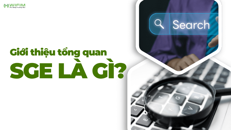 Giới thiệu tổng quan SGE là gì? Giới thiệu tổng quan SGE là gì?