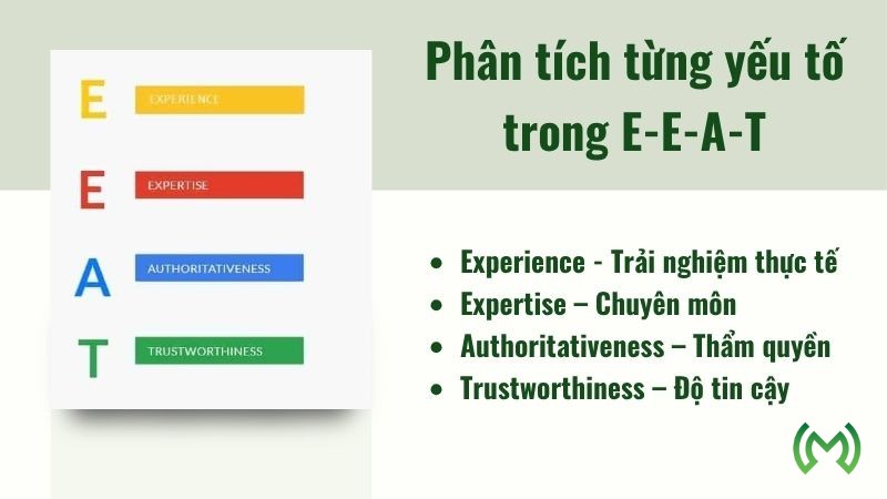 Phân tích từng yếu tố trong E-E-A-T Phân tích từng yếu tố trong E-E-A-T