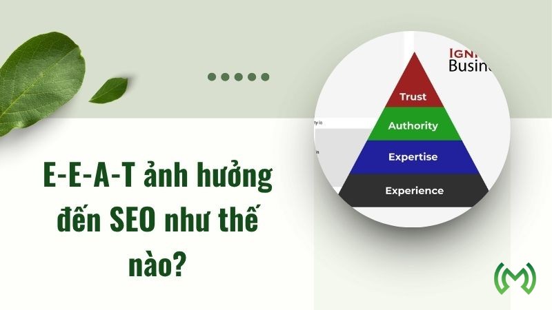 E-E-A-T ảnh hưởng đến SEO như thế nào? E-E-A-T ảnh hưởng đến SEO như thế nào?
