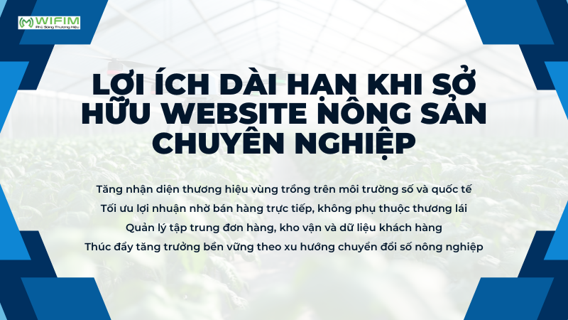 Lợi ích dài hạn khi sở hữu website nông sản chuyên nghiệp