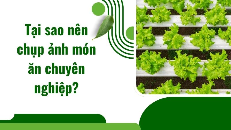 Lý do nên chụp ảnh món ăn chuyên nghiệp