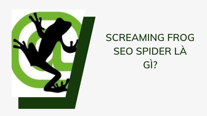 Screaming Frog SEO Spider là gì? Screaming Frog SEO Spider là gì?